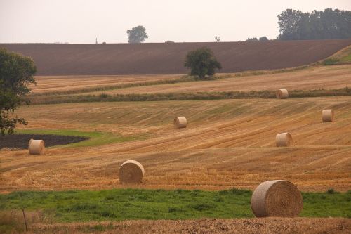 Derlius, Laukas, Šieno Kamuoliai, Ūkininkavimas, Denmark