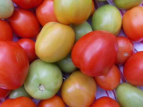 Derlius, Pomidoras, Maistas, Sodas, Iš Arti, Viduržemio Jūros