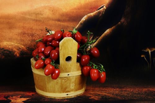 Derliaus Pomidorai, Medinis Kibiras, Daržovės