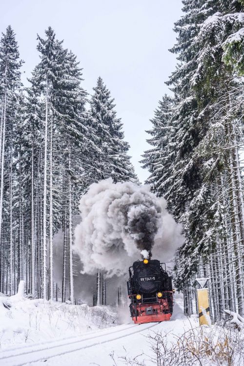 Harzer Schmalspuhrbahn, Žiemą, Pilnas Garas, Sniegas, Žiema, Šaltas, Mediena, Šaltis, Blizzard, Eglė, Kalnas, Snieguotas, Kalėdos, Kraštovaizdis, Sušaldyta