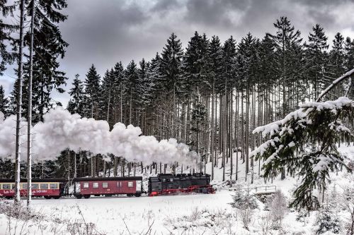 Harzer Schmalspuhrbahn, Žiemą, Pilnas Garas, Sniegas, Žiema, Medis, Mediena, Miškas