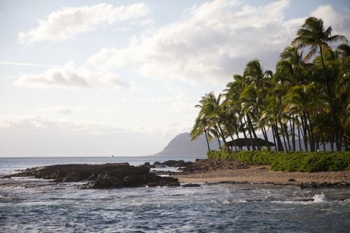 Hawaii, Vandenynas, Papludimys, Kelionė, Atostogos, Hawaii Beach, Havajų Kalba, Gyvenimo Būdas, Oahu, Vanduo, Lauke, Kraštovaizdis, Dangus, Gamta, Smėlis, Saulė, Jūra