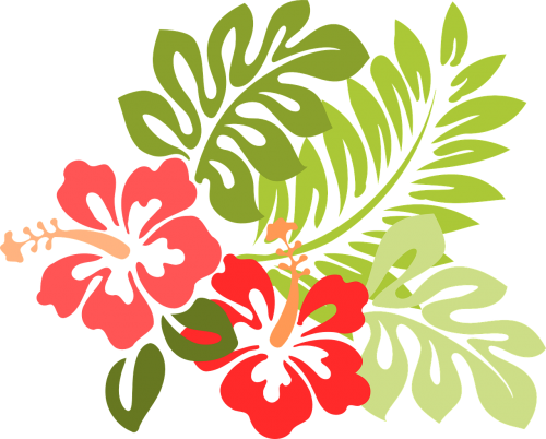 Hawaii, Hibiscus, Flora, Gėlių, Gėlės, Žiedai, Pavasaris, Atogrąžų, Nemokama Vektorinė Grafika