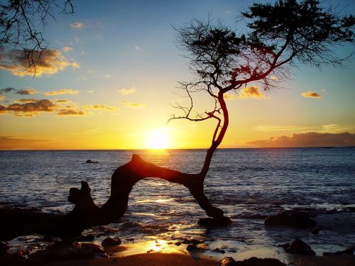 Hawaii,  Saulėlydis,  Vandenynas