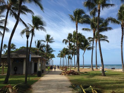 Hawaii, Palmės, Atostogos