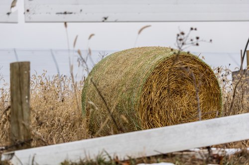 Hay,  Tvora,  Bale,  Ūkis,  Pobūdį,  Laukas,  Žemės,  Žemdirbystė