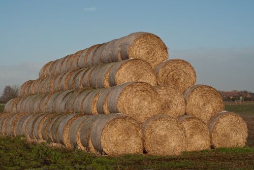 Haystack, Šiaudai, Žemdirbystė, Šienas, Derlius