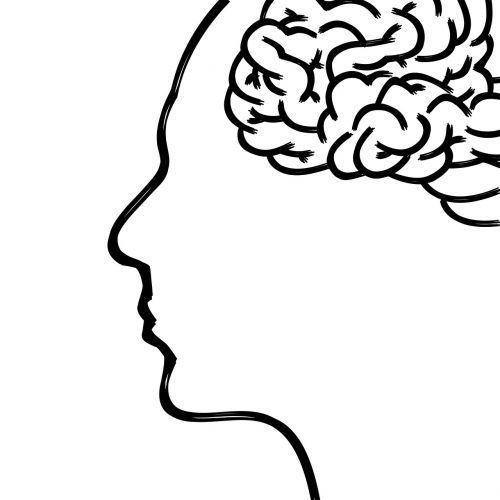Galva, Smegenys, Mintis, Žmogaus Kūnas, Veidas, Psichologija, Koncentracija, Idėjos, Pilkoji Medžiaga, Traukiamas Veidas, Piešimas