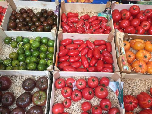 Sveikata,  Pomidoras,  Pomidorų Sultys,  Raudona,  Geltona,  Žalias,  Pomidorų Sultys