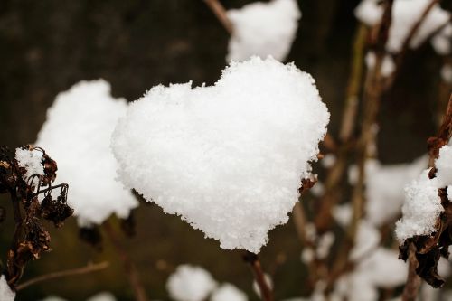 Širdis, Sniegas, Sniego Širdis, Meilė, Meilė
