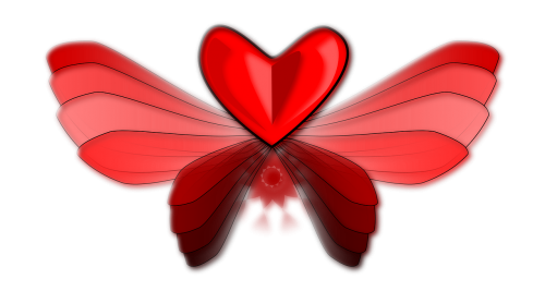 heart love wing
