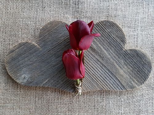 Širdis, Tulpės, Meilė, Gėlės