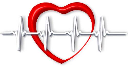 Širdis, Į Sveikatą, Impulsas, Širdies Ritmas, Apsauga, Priežiūra, Tyrimas, Medicinos, Gydytojas