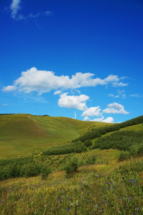 Hebei Fengning Bashang Pievos, Mėlynas Dangus, Baltas Debesys, Kalnai