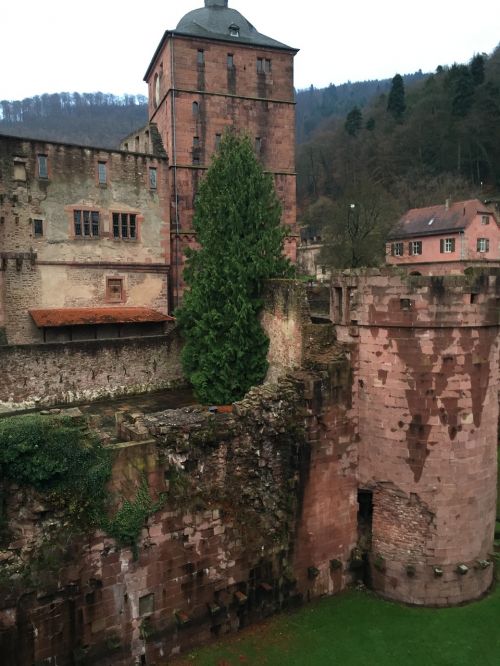 Heidelbergas, Pilis, Heidelberger Schloss, Tvirtovė, Istoriškai, Baden Württemberg, Piliakalnis