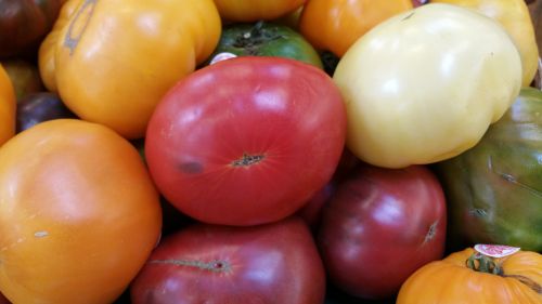 Pomidoras,  Palikuonys,  Raudona,  Geltona,  Žalias,  Pagaminti,  Vaisiai,  Paveldimos Pomidorai