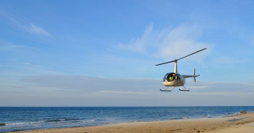 Sraigtasparnis, Papludimys, Baltijos Jūra