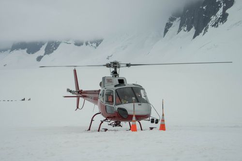 Sraigtasparnis, Alaska, Mendenhall Ledynas