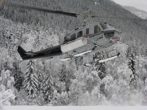Sraigtasparnis, Sniegas, Kalnas, Kanada, Žiema