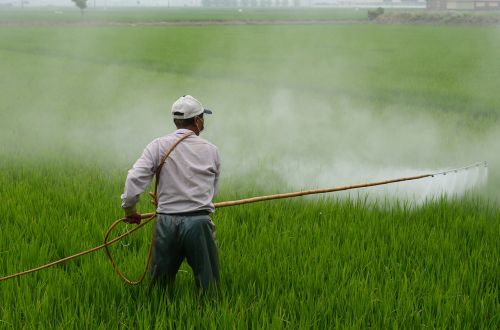 Herbicidas, Avignon, Ryžių Lauke, Avignon Pavardė, Hiv, Pesticidas