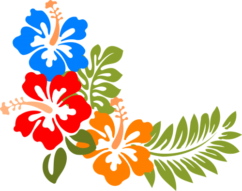 Hibiscus, Hawaii, Gėlės, Atogrąžų, Spalvinga, Pavasaris, Vasara, Natūralus, Augalas, Žiedas, Sodas, Flora, Nemokama Vektorinė Grafika