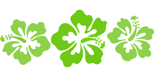 Hibiscus, Žalias, Hawaii, Dizainas, Gėlės, Nemokama Vektorinė Grafika