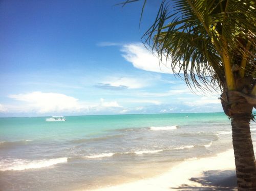 Hibiscus Beach, Alagoas, Šiaurės Zona, Papludimys, Atogrąžų, Egzotiškas, Palmė, Vandenynas, Mar, Vasara, Atostogos