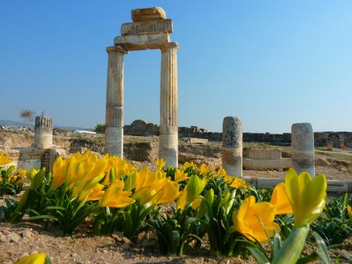 Hierapolis, Pamukalė, Sugadinti, Senovės, Unesco, Rudens Krokusas