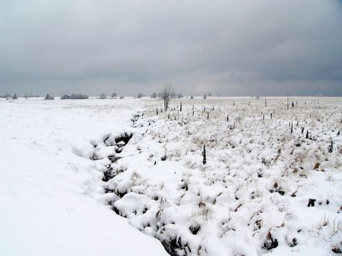 Aukštas Veenenas, Ardennes, Sniegas, Kraštovaizdis, Žiema, Belgija