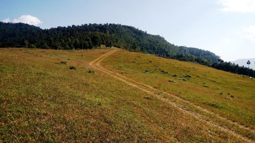 Highland, Himalajiečių, Ganyklos, Pieva, Dangus, Ganykla, Natūralus, Vaizdingas