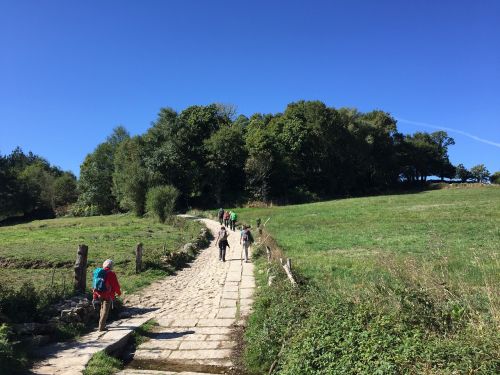 Žygiai, Keliauti Piligrimine Kelione, Piligrimystė, Kuprinė, Camino, Camino De Santiago, Jakobsweg, Ispanija, Gamta, Šukutė, Takas, Piligrimų Kelias, Poilsis, Miškas, Žygis