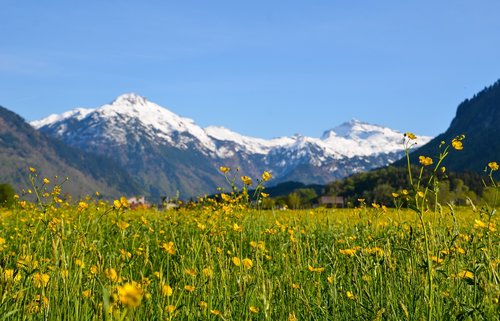Žygiai,  Alpine,  Kraštovaizdis,  Šveicarija,  Turizmas,  Glarus,  Kalnai,  Toli,  Medis,  Pavasaris,  Dangus,  Masyvas,  Žalias,  Pobūdį,  Šventės,  Atostogos,  Sniegas,  Kalnų Pieva