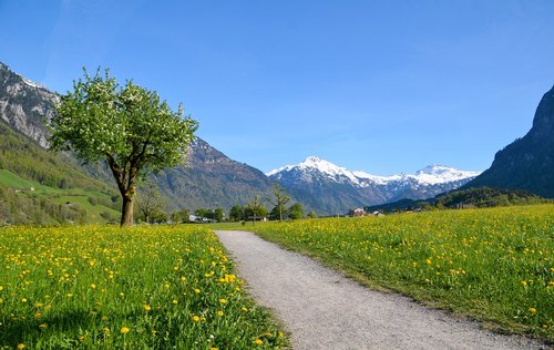 Žygiai,  Alpine,  Kraštovaizdis,  Šveicarija,  Turizmas,  Glarus,  Kalnai,  Toli,  Medis,  Pavasaris,  Dangus,  Masyvas,  Žalias,  Pobūdį,  Šventės,  Atostogos