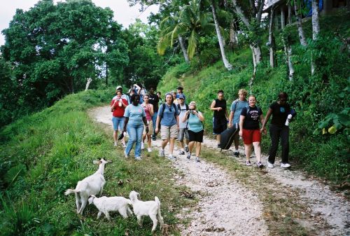 Misija,  Kelionė,  Jamaika,  Krikščionis,  Avys,  Ožkos,  Biblija,  Žygiai Jamaika