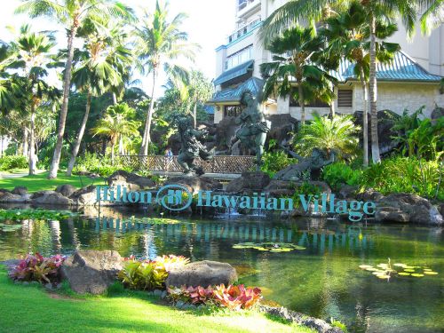 Hilton,  Viešbutis,  Hawaii,  Žalias,  Tvenkinys,  Hilton Hotel Hawaii