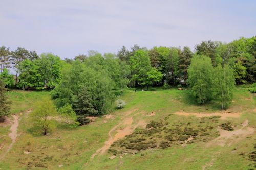 Kraštovaizdis,  Sezonas,  Saulė,  Lauke,  Gamta,  Šviesa,  Magija,  Migla,  Rytas,  Saulės Spindulys,  Šiltas,  Laukinė Gamta,  Miškas,  Geltona,  Stiebas,  Medis,  Saulėtekis,  Saulėlydis,  Per,  Lapai,  Centras,  Centrinis,  Kompozicija,  Fono Paveikslėliai