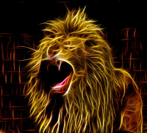 Liūtas,  Panthera,  Leo,  Liūtas,  Laukinė Gamta,  Afrika,  Portretas,  Gyvūnas,  Plėšrūnas,  Katė,  Didelis,  Neonas,  Fonas,  Fono Paveikslėliai