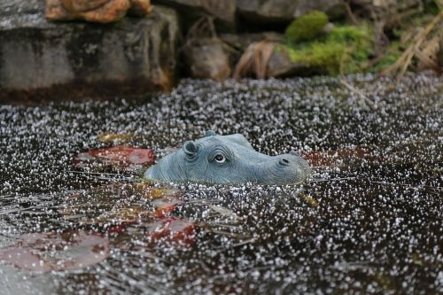 Hippo, Gamta, Ledas, Vanduo