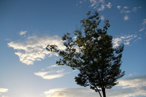 Hiroki, Japonija, Vakarinis Vaizdas, Mėlynas Dangus, Žalias