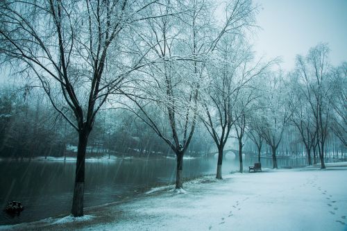 Hiromasa Ežeras, Zhejiang Universitetas, Sniegas, Žiema