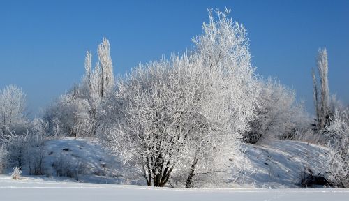 Auskaras, Žiema, Šaltas, Šaltis, Aišku