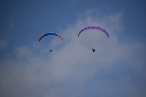 Hobis, Paragliding, Paragleris