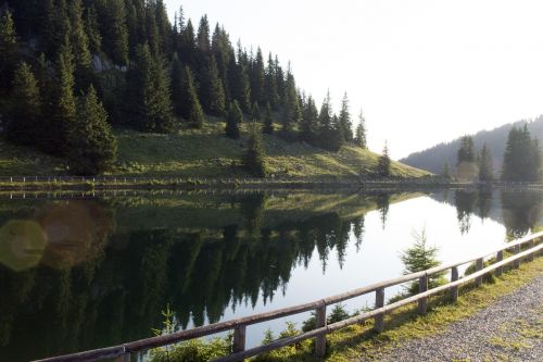 Hochkar, Ežeras, Pušis, Vanduo, Kraštovaizdis, Gamta, Austria, Kalnas, Veidrodinis Vaizdas