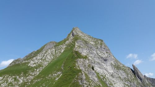 Höfats,  Allgäu,  Grasberg,  Kieta Žolia,  Allgäu Alpės,  Alpių,  Kraštovaizdis,  Oberstdorf,  Aukščiausiojo Lygio Susitikimas,  Idiliškas,  Idilija,  Vasara