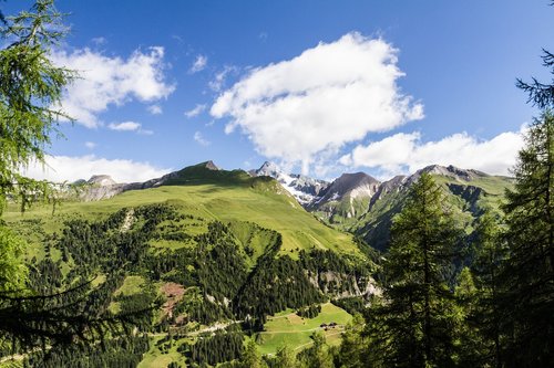 Hohe Tauern,  Kalnai,  Miškas,  Austrija,  Panorama,  Alpės,  Alpine