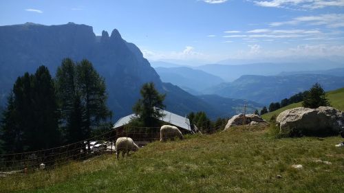 Šventė, South Tyrol, Kalnai, Gamta, Kraštovaizdis, Alpių, Žygiai, Bergwelt Südtirol, Vaizdas