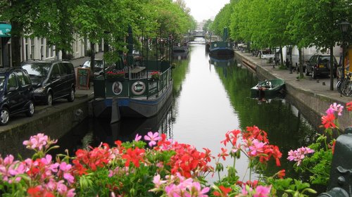 Olandija,  Nyderlandai,  Gėlės,  Kanalas,  Valtys,  Rausvos Gėlės,  Vaizdingas Vaizdas