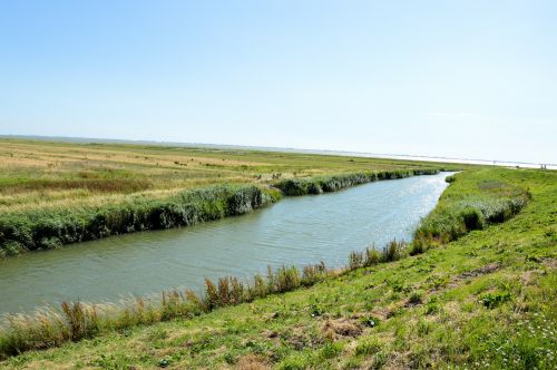 Kraštovaizdis,  Kaimas,  Panorama,  Gamta,  Nyderlandai,  Šiaurė & Nbsp,  Holland,  Olandų Kraštovaizdis