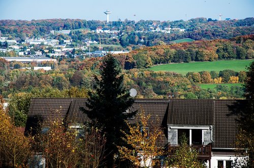 Namas,  Architektūra,  Panorama,  Miestas,  Medis