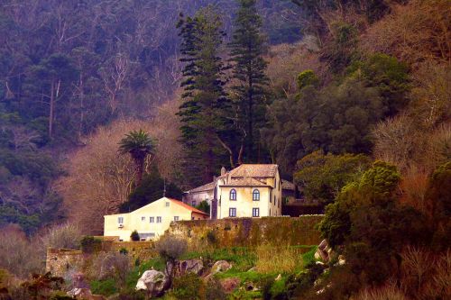Namai, Senas Namas, Romantiškas, Pavasaris, Miškas, Sintra, Portugal